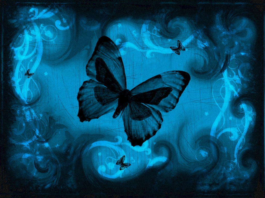 motýl.jpg